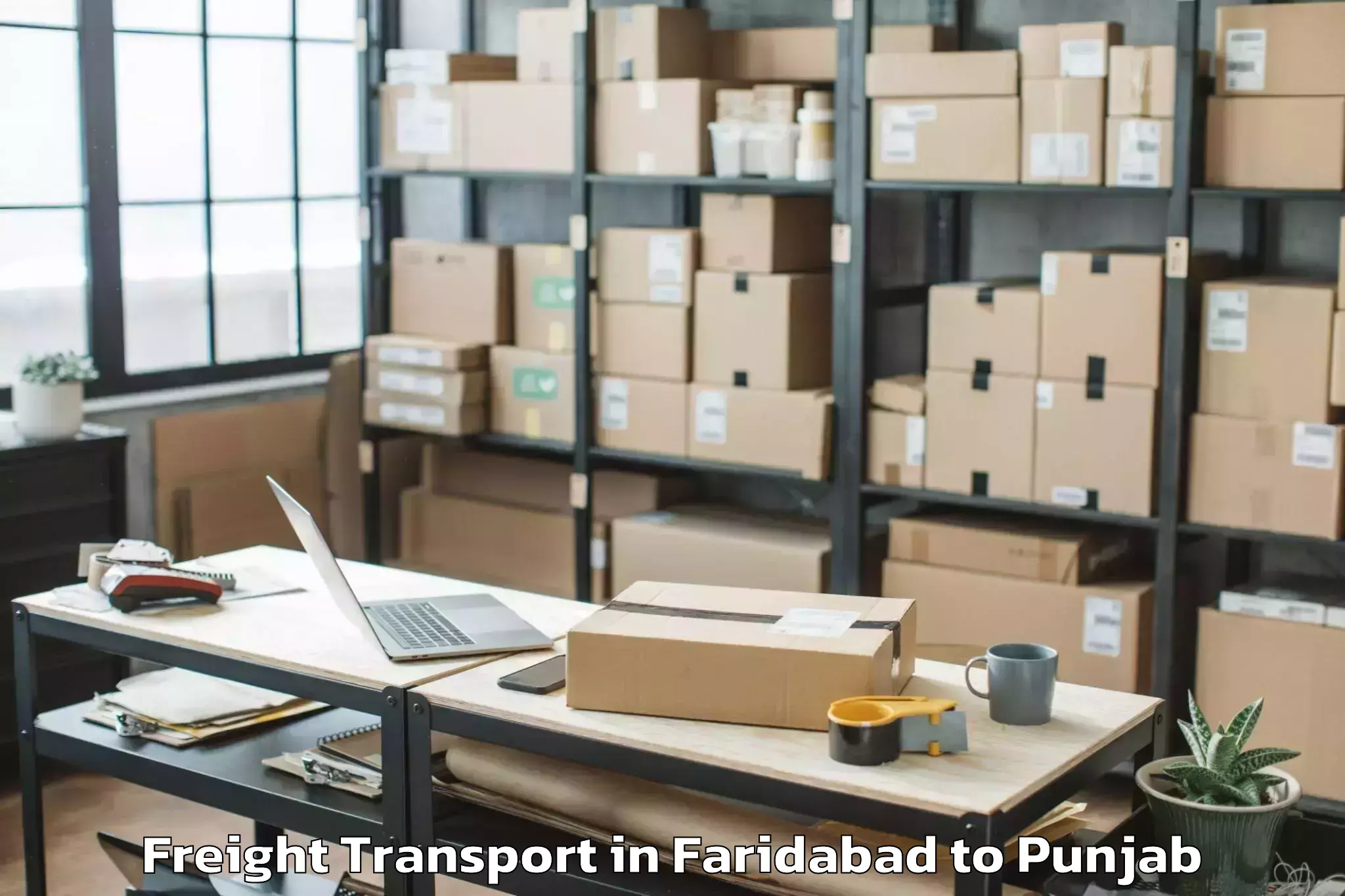 Trusted Faridabad to Dinanagar Freight Transport